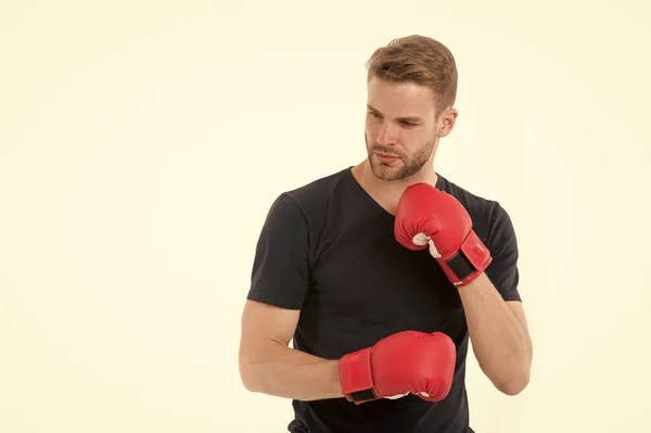 Confident boxer. Sportsman training with boxing gloves. Boxing concept. Man athlete concentrated face with sport gloves, ready to practice fighting skills, isolated white. Boxer handsome strict coach — Stock Photo, Image