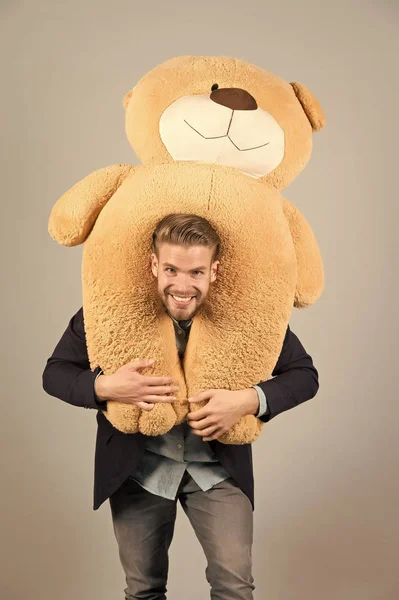 Man carries giant teddy bear on neck, grey background. Birthday gift concept. Teddy bear plush toy pleasant surprise. Guy happy bearded face holds toy teddy bear. Man formal suit cute gift surprise
