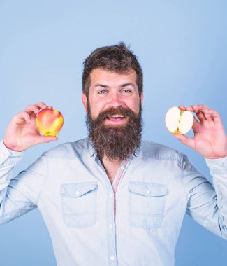 Sağlıklı bir alternatif. Elma hem de sağlıklı alternatif eller. Sakallı adam gülen elma mavi arka plan elinde tutar. Tamamen sağlıklı beslenme kavramı. Vitamini beslenme diyet sağlık