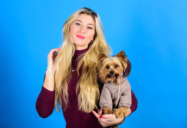 Cão de vestir para o tempo frio. Que raças de cães devem usar casacos. Mulher carrega yorkshire terrier. Os cães precisam de roupa. Menina adorável loira abraço pequeno cão de casaco. Vestuário e acessórios. Material para animais — Fotografia de Stock