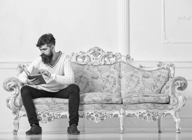 Kendi eğitim kavramı. Adam dikkat ile kitap okumak. Maço kitap okumak, eğitim konsantre yüzünde. Barok tarzı kanepe, tutar kitap, beyaz duvar arka plan sakal ve bıyık oturur adam