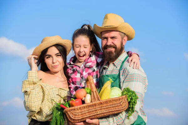 Mercado agrícola com colheita de outono. Homem barbudo agricultor rústico com filho e mulher. Família pai agricultor mãe jardineiro com filha perto da colheita. Conceito de festival de fazenda familiar. Estilo de vida familiar no campo — Fotografia de Stock