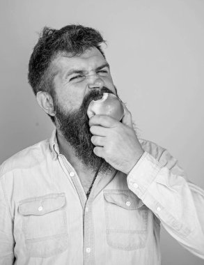 Adam yakışıklı hippi uzun sakal yeme apple ile. Elma adam diyet beslenme yiyor meyve seviyorum. Hipster aç sulu olgun elma yiyor. Meyve sağlıklı yemek saati her zaman iyi bir fikir. Sağlıklı beslenme kavramı