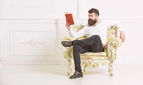 Knowledge concept. Man with beard and mustache sits on armchair and reading book, white wall background. Macho smart spends leisure with book. Scientist, professor on serious face explores literature — Stock Photo, Image