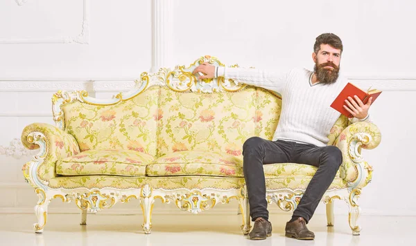 Concepto de autoeducación. Macho en libro de lectura de la cara tranquila, estudiando. Hombre con barba y bigote se sienta en el sofá de estilo barroco, sostiene libro, fondo blanco de la pared. Guy leyendo libro en la sala de estar — Foto de Stock