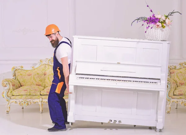 Loader moves piano instrument. Courier delivers furniture, move out, relocation. Man with beard worker in helmet and overalls lifts up, efforts to move piano, white background. Heavy loads concept