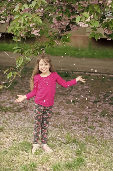 Bambina in giardino sotto l'albero di sakura — Foto Stock