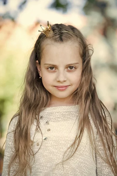 Portret van een lief klein gelukkig prinses meisje — Stockfoto