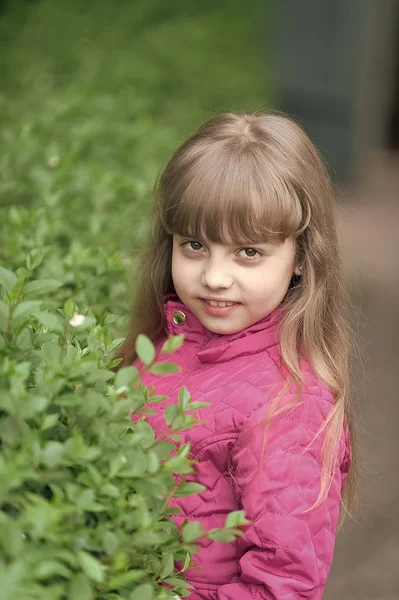 Malá dívka zelené Bush, jaro — Stock fotografie