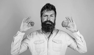 Meyve ve meyve eller sağlıklı alternatif. Vitamini meyve beslenme kavramı. Vitamini diyet sağlık. Adam düşünceli tutan apple ve çilek eller mavi arka plan sakallı. Meyve ya da berrie