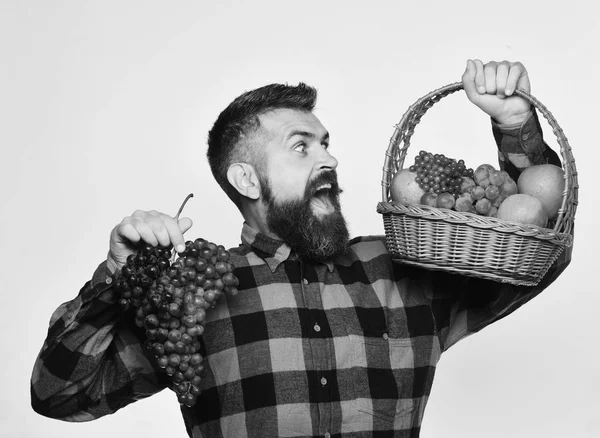 Hombre con barba sostiene cesta con frutas y uvas púrpuras —  Fotos de Stock