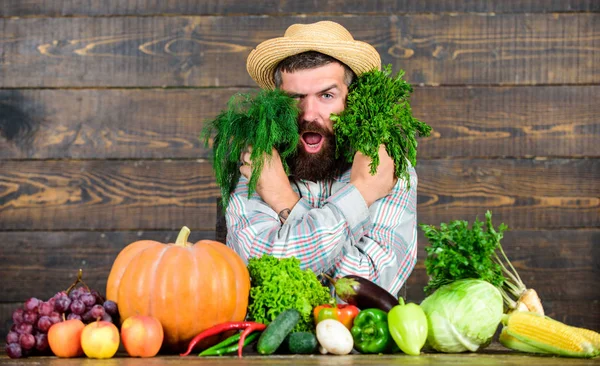 Cosecha de excelente calidad. Hombre con barba orgulloso de su cosecha fondo de madera. Los fertilizantes orgánicos hacen que la cosecha sea saludable y rica. Control orgánico de plagas. Agricultor con cosecha de hortalizas de cosecha propia —  Fotos de Stock