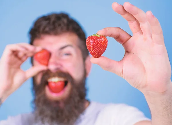 Uomo barbuto ammiccante con bacca rossa, sfocato. Concetto perfetto di fragola. Guarda la mia bacca. Hipster felice godere succosa fragola sfondo blu. Uomo bello hipster lunga barba mangiare tenere fragola — Foto Stock