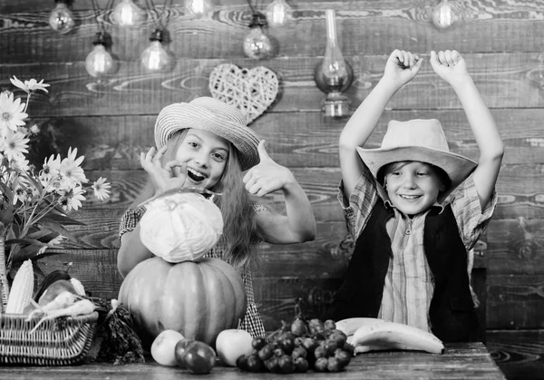 Δημοτικό σχολείο Φθινόπωρο Φεστιβάλ ιδέα. Φθινόπωρο Φεστιβάλ συγκομιδή. Τα παιδιά παίζουν λαχανικά ξύλινο υπόβαθρο. Παιδιά κορίτσι αγόρι φορούν καπέλο γιορτάσουμε φεστιβάλ συγκομιδή ρουστίκ στιλ. Γιορτάστε διακοπών συγκομιδή — Φωτογραφία Αρχείου
