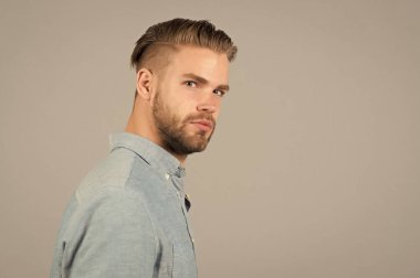 Tıraşsız yüzlü sakallı bir adam. Mavi gömlekli sakallı adam. Tarz sahibi, gri saçlı bir manken. Cilt bakımı ve berber salonu. Biçim veya eğilim ve saç stili kavramı, kopyalama alanı