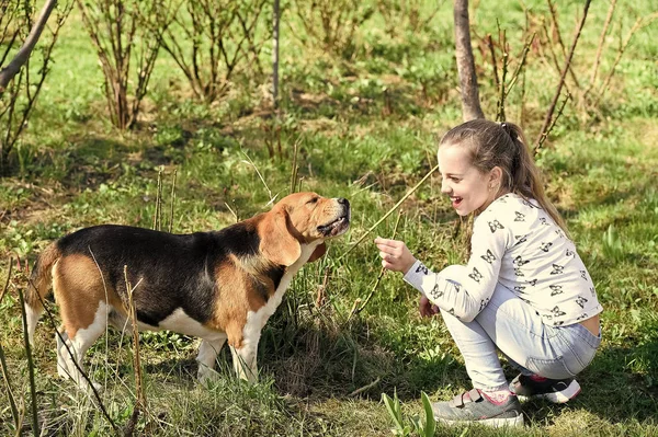 Šťastné dítě si hraje s domácím mazlíčkem za slunečného dne. Holčička cvičí psa na letní přírodě. Dítě se usmívá na čerstvý vzduch venku. Dětství a přátelství. Koncept tréninkových psů — Stock fotografie