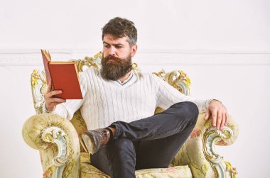 Akıllı kavramı. Bilim adamı, Profesör dalgın yüzündeki edebiyat sahiptir. Sakallı ve bıyıklı kitap ile boş zaman harcıyor. Koltuk ve okuma kitabı, beyaz duvar zemin üzerine öğretim görevlisi akıllı sit