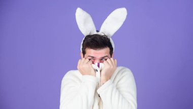 Beyaz bunny Paskalya tatili sembolü. Yumuşak ve yumuşak. Adam uzun bunny veya tavşan kulaklara menekşe arka plan ile. Hassasiyet tadını çıkarın. Sevimli tavşan. Adam yakışıklı yüzü giyim beyaz tavşan kulaklar. Paskalya bunn