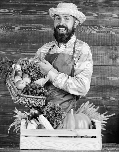 Fresh organic vegetables in wicker basket and wooden box. Farmer straw hat presenting fresh vegetables. Farmer with homegrown vegetables. Man cheerful bearded farmer near vegetables wooden background