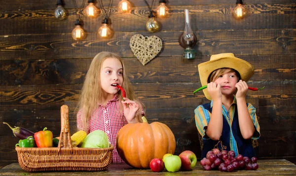 Fattoria di famiglia. Bambini che presentano fattoria raccolta sfondo in legno. Motivi per cui ogni bambino dovrebbe sperimentare l'agricoltura. Mercato agricolo. I fratelli si divertono. Bambini agricoltori ragazza ragazzo verdura raccolto — Foto Stock