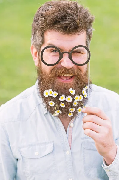 Homem com barba comprida e bigode, fundo verde desfocado. Hipster com barba no rosto alegre, posando com óculos. Conceito de primavera. Cara parece bem com flores de margarida ou camomila na barba — Fotografia de Stock