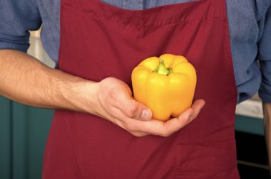 Parlak ve olgun. Pik sezon satın emin olun sizin sebze daha flavorful. Mevsimlik sebze madde ortalama yemek başka bir seviyeye alabilir. Taze sarı olgun biber sebze elinde Şef