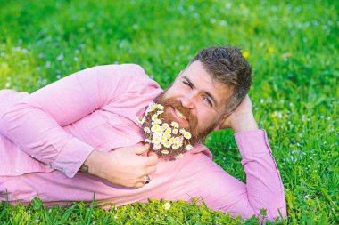 Papatya çiçekler ile sakallı adam çayır üzerinde yatıyordu, yandan, çim arka plan yaslan. Erkeklik kavramı. Hipster sakal papatya ile çekici görünüyor. Sakallı yüzü gülen üzerinde zevk doğa