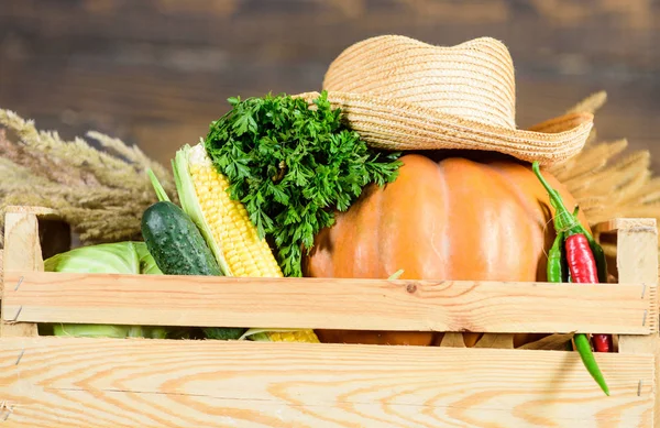 Compre verduras frescas de cosecha propia. Caja o cesta de cosecha verduras fondo de madera. Verduras de excelente calidad. Sólo del jardín. Concepto de tienda de comestibles. Servicio de entrega de verduras frescas de granja —  Fotos de Stock