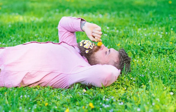 O homem com barba no rosto calmo cheira a dente-de-leão. Conceito de paz e tranquilidade. Um tipo com um bouquet de margaridas na barba a relaxar. Homem barbudo com flores de margarida em barba colocar no gramado, fundo de grama — Fotografia de Stock