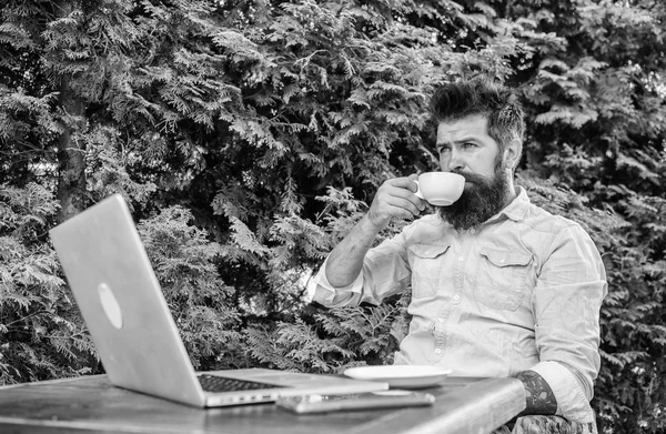 Guy bebe café relaxante terraço ramos fundo. Homem hipster barbudo fazer pausa para beber café e relaxar enquanto se sentar com laptop. Aproveite o momento para aproveitar a vida. Aroma cappuccino. Momento agradável — Fotografia de Stock