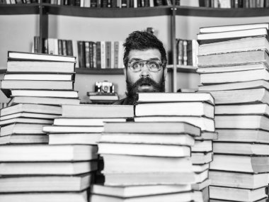 Adam, inek kazık kitap kütüphane, kitap rafı arka plan üzerinde arasında sürpriz yüzünde. Öğretmen ya da öğrenci sakallı gözlük takmaz, defocused kitaplar ile masada oturur. İnek kavramı