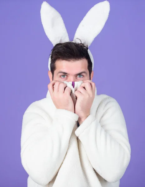 Easter is here. Happy man wearing rabbit ears. Man in easter rabbit costume. Easter bunny or hare. Hipster dressed for Easter party. Celebrating spring, new life and fertility. Spring holiday