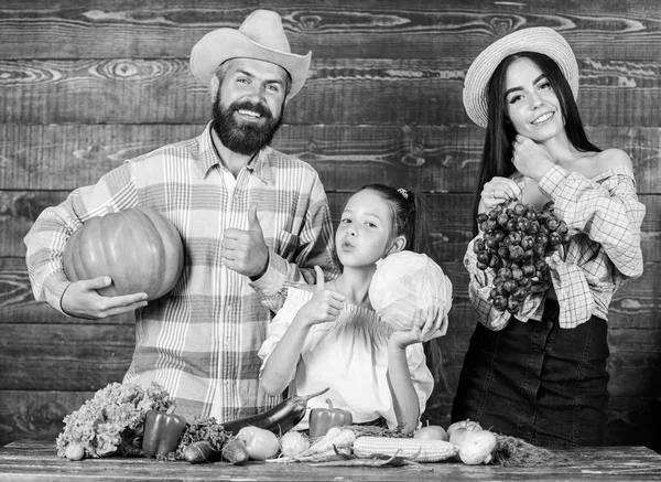 Γονείς και κόρη Γιορτάστε διακοπών συγκομιδή κολοκύθα λαχανικά φρούτα. Ρουστίκ στυλ οικογένεια αγορά αγροτών με πτώση συγκομιδή. Έννοια του φεστιβάλ συγκομιδή. Τους αγρότες της οικογένειας με φόντο ξύλινη συγκομιδή — Φωτογραφία Αρχείου