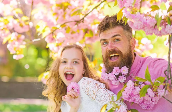 Father and daughter on happy faces play with flowers and hugs, sakura background. Girl with dad near sakura flowers on spring day. Child and man with tender pink flowers in beard. Spring mood concept — Stock Photo, Image