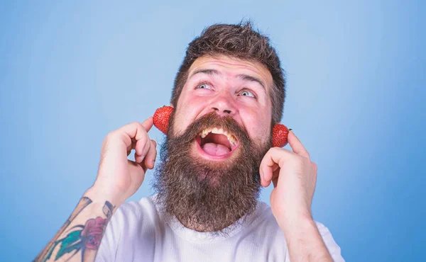 Concepto de verano. Hombre barbudo hipster rojo maduro orejas de fresa como auriculares. Chico disfrutar jugoso sonido verano hit canción música. Hipster barba escuchar música auriculares de fresa. Verano carta de radio superior — Foto de Stock