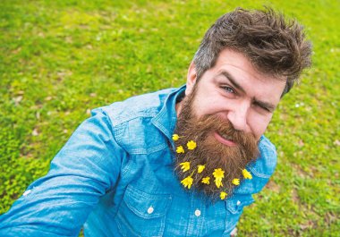 Yüz göz kırpıyor üzerinde hipster defocused çimenlerin üzerinde oturur. Sakallı bahar, yeşil çayır arka plan sahiptir. Küçük kırlangıçotu çiçeklerle selfie fotoğrafta sakallı adam. Bahar sezonu kavramı
