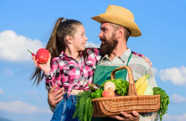 Apenas colheita biológica e fresca. Homem barbudo agricultor rústico com filho. Pai e filha segurar cesta colheita legumes. Jardinagem e colheita. Conceito de fazenda familiar. Colheita domiciliar da família de agricultores — Fotografia de Stock