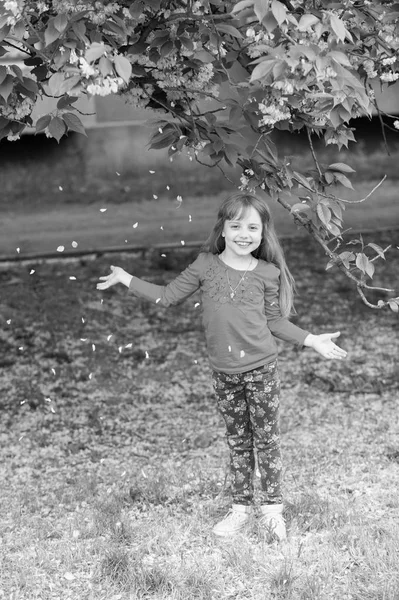 Little girl in garden under the sakura tree — Stock Photo, Image