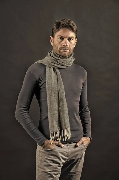 Fashion, accessory, style. Macho in sweater, scarf with hands in pockets. Barber salon, barbershop. Grooming, male beauty concept. Man with beard on unshaven face on grey background, vintage filter
