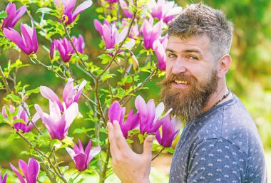 Sakal ve bıyık yakınındaki çiçek güneşli mutlu gülümseyen yüzünde olan adam. Manolya bloom ile poz taze saç kesimi olan sakallı adam. Hipster bahar mor çiçeği yakınındaki sahiptir. Bahçıvan kavramı