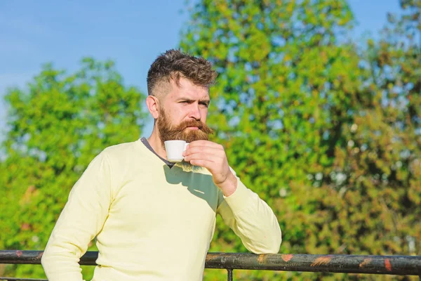 Morgon ritual begrepp. Skäggig man med vit mugg, drycker kaffe. Mannen med skägg och mustasch på strikt ansikte drycker kaffe på balkongen, träd på bakgrund, oskärpa. Man med långt skägg njuta av kaffe — Stockfoto