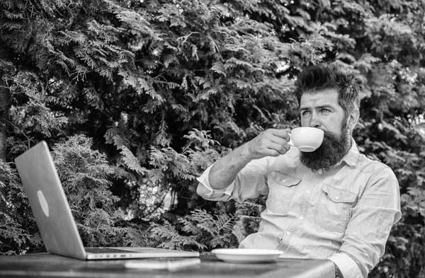 Take moment to enjoy life. Guy drinks coffee relaxing terrace branches background. Aroma cappuccino. Pleasant moment. Man bearded hipster make pause for drink coffee and relax while sit with laptop