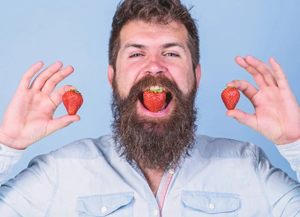 We are what we eat. Strawberry sweet taste concept. Man handsome hipster long beard eat hold strawberry. Hipster cheerful enjoy juicy strawberry. Man enjoy berry taste. Berry mouth bearded hipster