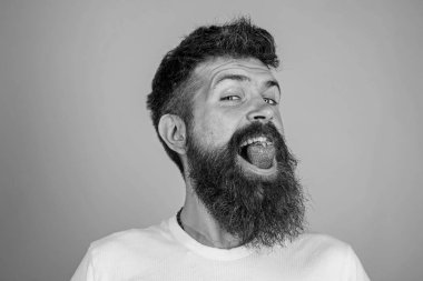 Hipster mutlu yüz sulu olgun kırmızı çilek tadını çıkarın. Çilek yemek uzun sakallı adam yakışıklı hippi. Berry de sakallı hippi ağız. Tazelik kırmızı renkte geliyor. Çilekli tatlı tadı kavramı