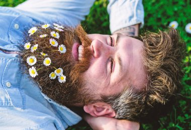 Mutlu yüz hipster çimenlerin üzerinde bırakır. Erkeklik kavramı. Sakal ve bıyık maço bahar, yeşil çayır arka plan sahiptir. Adamım görünüyor güzel çiçeklerle papatya veya papatya sakal, yakın çekim