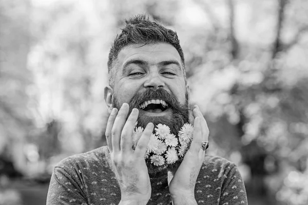 Homem barbudo com flores de dente-de-leão em barba, de perto. Hipster com buquê de dentes-de-leão em barba. Homem com barba e bigode na cara feliz, fundo verde, desfocado. Conceito de barbeiro — Fotografia de Stock