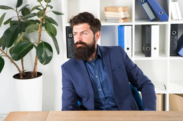 Confident brutal man director. Businessman in formal suit. Man. Bearded man. Mature hipster with beard. Male fashion in business office. Business director. Modern businessman. administrative director — Stock Photo, Image