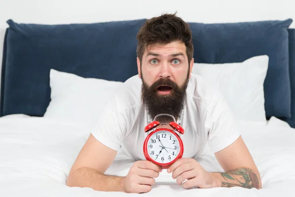 Tips for becoming an early riser. Problem with early morning awakening. Get up with alarm clock. Overslept again. Tips for waking up early. Man bearded hipster sleepy face in bed with alarm clock