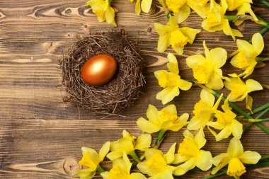 Geleneksel Paskalya altın yumurtası yuvada, bahar sarısı narsisli çiçek