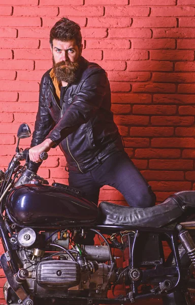 Masculine passion concept. Hipster, brutal biker on serious face in leather jacket gets on motorcycle. Man with beard, biker in leather jacket near motor bike in garage, brick wall background